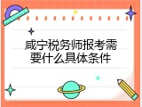 咸宁税务师报考需要什么具体条件