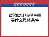 黄冈审计师报考需要什么具体条件