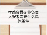 孝感食品企业负责人报考需要什么具体条件