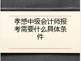 孝感中级会计师报考需要什么具体条件