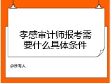 孝感审计师报考需要什么具体条件