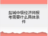 盐城中级经济师报考需要什么具体条件