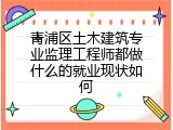 青浦区土木建筑专业监理工程师都做什么的就业现状如何