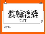 扬州食品安全总监报考需要什么具体条件