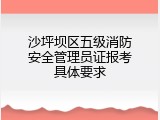 沙坪坝区五级消防安全管理员证报考具体要求