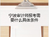 宁波审计师报考需要什么具体条件