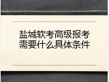 盐城软考高级报考需要什么具体条件