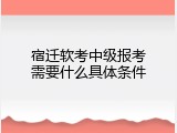 宿迁软考中级报考需要什么具体条件