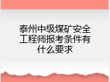 泰州中级煤矿安全工程师报考条件有什么要求