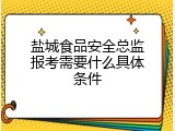 盐城食品安全总监报考需要什么具体条件