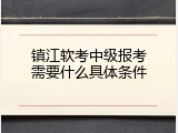 镇江软考中级报考需要什么具体条件