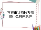 宜宾审计师报考需要什么具体条件