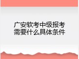 广安软考中级报考需要什么具体条件