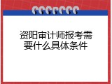 资阳审计师报考需要什么具体条件