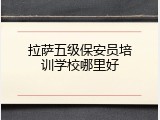 拉萨五级保安员培训学校哪里好