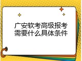 广安软考高级报考需要什么具体条件