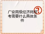 广安高级经济师报考需要什么具体条件