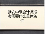 雅安中级会计师报考需要什么具体条件