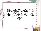 雅安食品安全总监报考需要什么具体条件