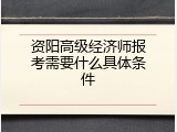 资阳高级经济师报考需要什么具体条件