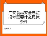 广安食品安全总监报考需要什么具体条件