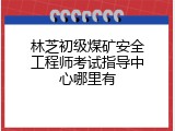 林芝初级煤矿安全工程师考试指导中心哪里有