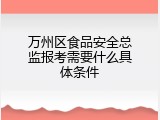 万州区食品安全总监报考需要什么具体条件