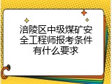 涪陵区中级煤矿安全工程师报考条件有什么要求