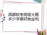 昌都软考高级大概多少学费好就业吗