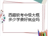 西藏软考中级大概多少学费好就业吗