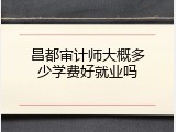 昌都审计师大概多少学费好就业吗