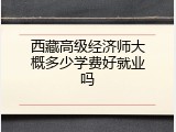 西藏高级经济师大概多少学费好就业吗