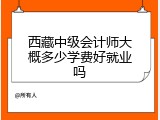 西藏中级会计师大概多少学费好就业吗