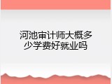 河池审计师大概多少学费好就业吗