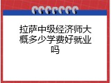 拉萨中级经济师大概多少学费好就业吗