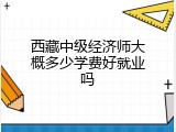 西藏中级经济师大概多少学费好就业吗