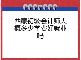 西藏初级会计师大概多少学费好就业吗
