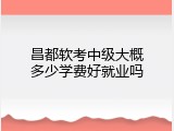 昌都软考中级大概多少学费好就业吗