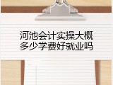 河池会计实操大概多少学费好就业吗