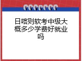 日喀则软考中级大概多少学费好就业吗
