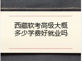 西藏软考高级大概多少学费好就业吗