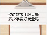 拉萨软考中级大概多少学费好就业吗
