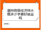 潮州高级经济师大概多少学费好就业吗