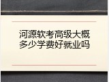 河源软考高级大概多少学费好就业吗