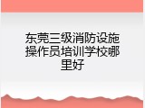 东莞三级消防设施操作员培训学校哪里好