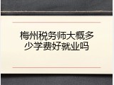 梅州税务师大概多少学费好就业吗