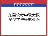 东莞软考中级大概多少学费好就业吗