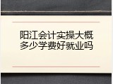 阳江会计实操大概多少学费好就业吗