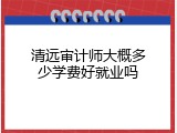 清远审计师大概多少学费好就业吗