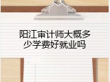 阳江审计师大概多少学费好就业吗
